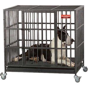 ProSelect Empire Single Door Steel Dog Crate