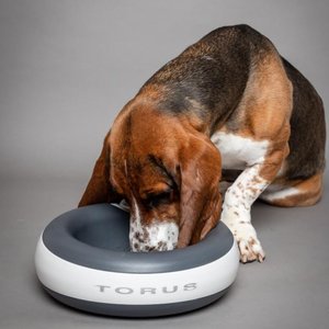 Torus Pet Filtered Dog & Cat Water Bowl, Charcoal, 68-oz