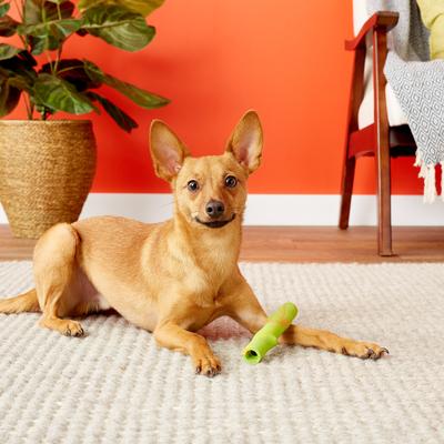 Show full view: Ruff Dawg Crunch Stick Tough Dog Fetch Toy, Color Varies, Twig slide 3 of 7