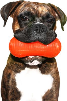 Show full view: Ruff Dawg Crunch Peanut Treat Dispenser Dog Toy, Color Varies, Peanut slide 3 of 6