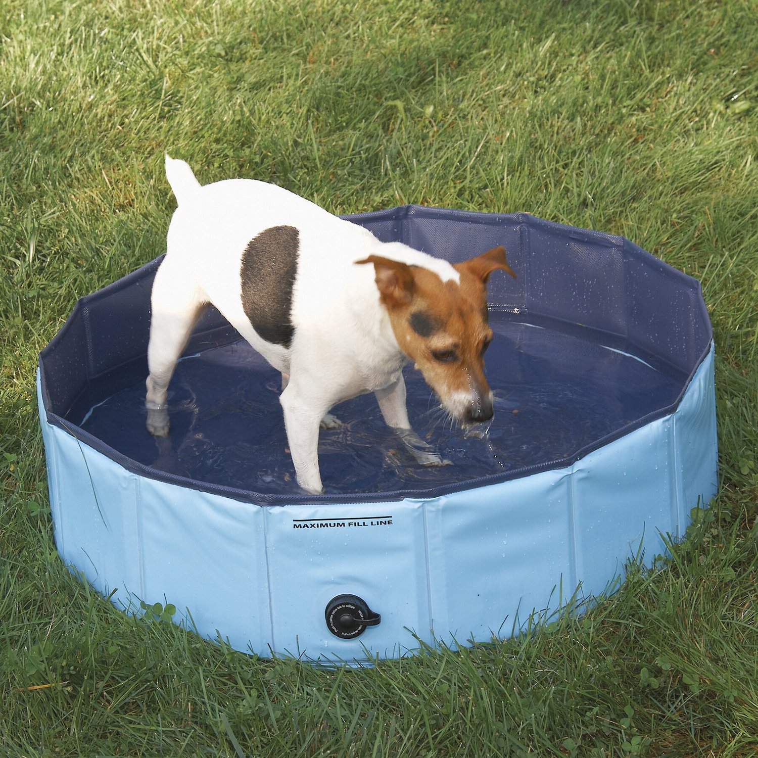 dog splash pad chewy