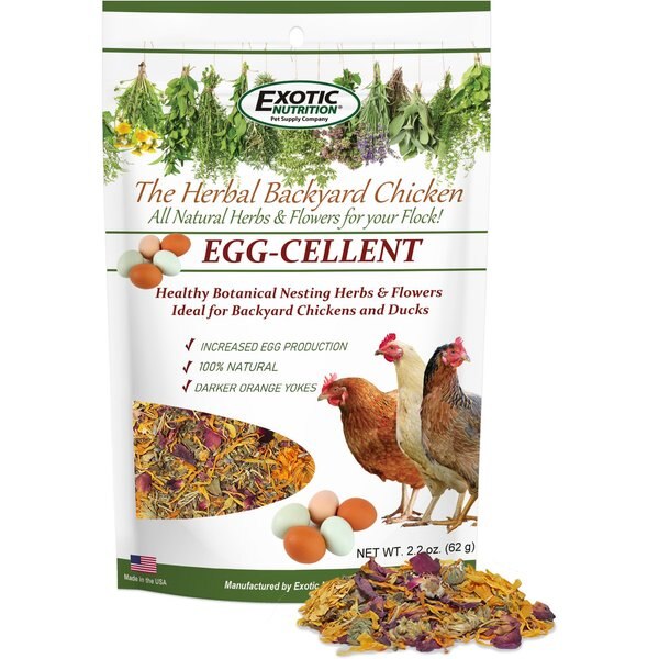 Exotic Nutrition Egg-Cellent Bird Supplement