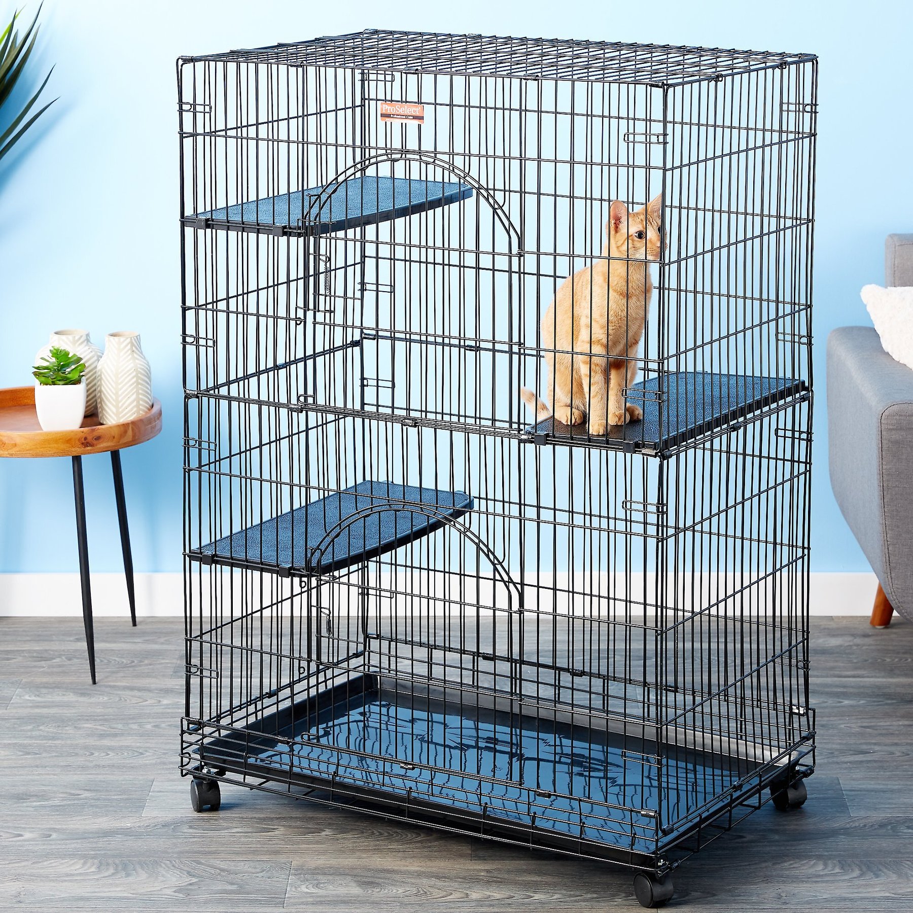 Proselect store cat cage