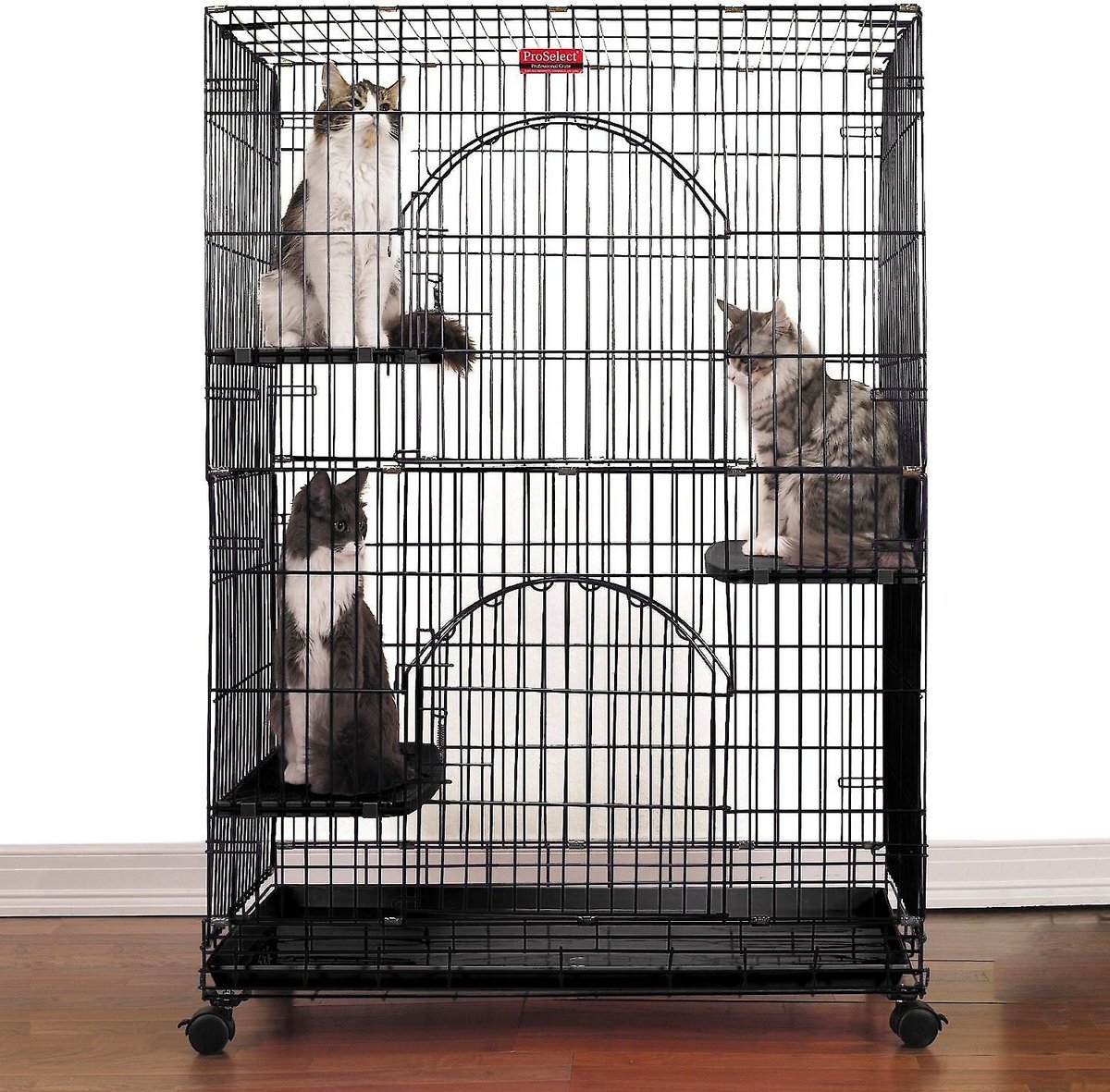 Chewy hotsell cat cages