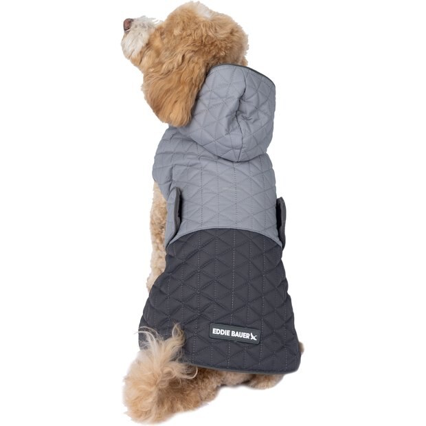 PetRageous Designs Free shipping Chewy