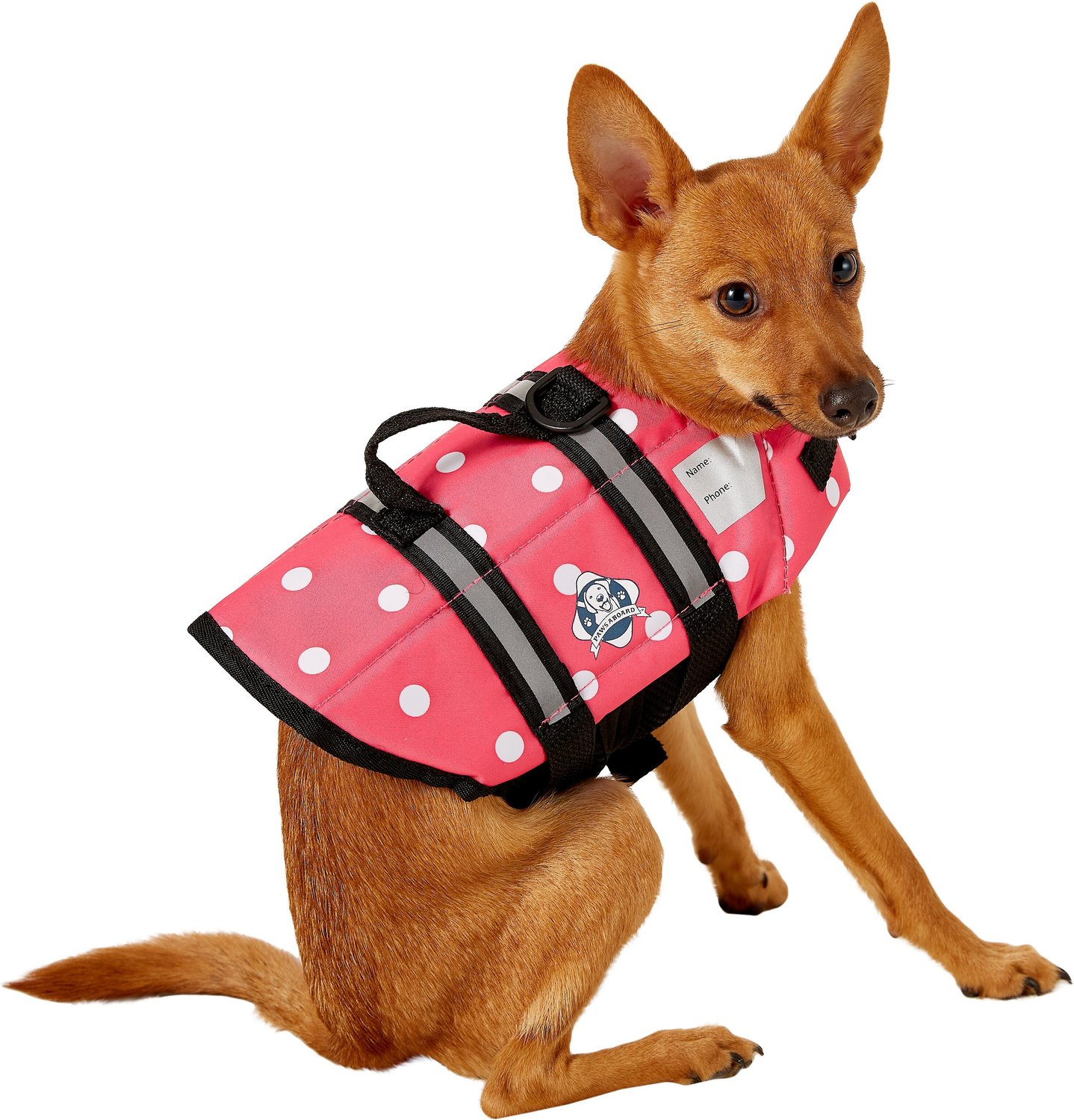 PAWS ABOARD Pink Polka Dot Dog Life Jacket, Small