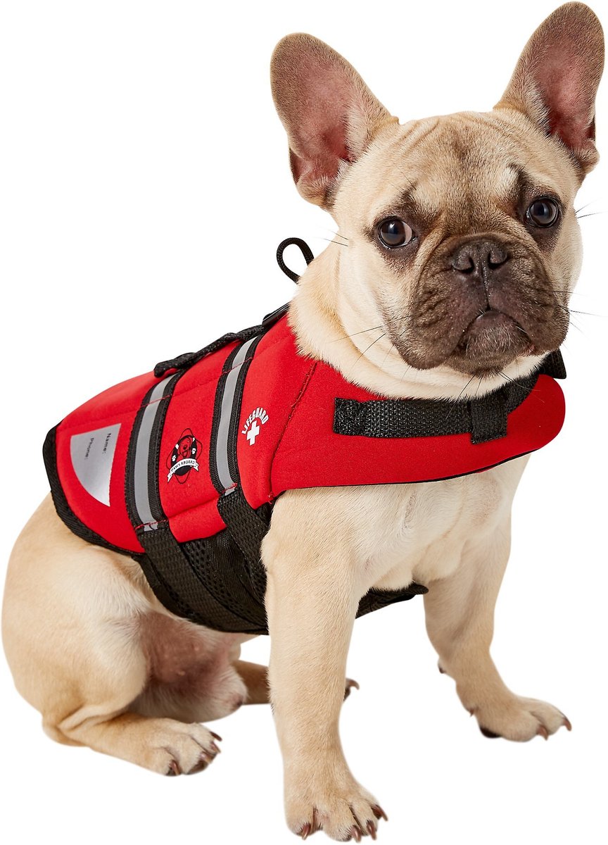 PAWS ABOARD Lifeguard Neoprene Dog Life Jacket, Small