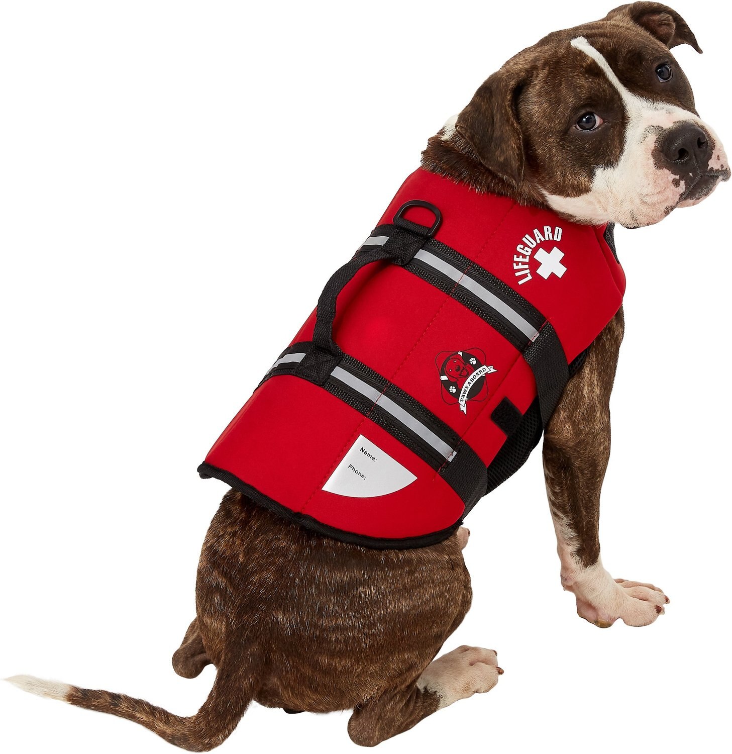 PAWS ABOARD Lifeguard Neoprene Dog Life Jacket, Medium