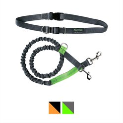 Mighty Paw Hands Free Bungee Dog Leash, Grey/Green, 4-ft