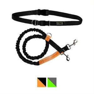 Mighty Paw Hands Free Bungee Dog Leash, Black, 4-ft