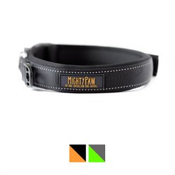 Mighty Paw Padded Sports Dog Collar, Black, Large slide 1 of 6