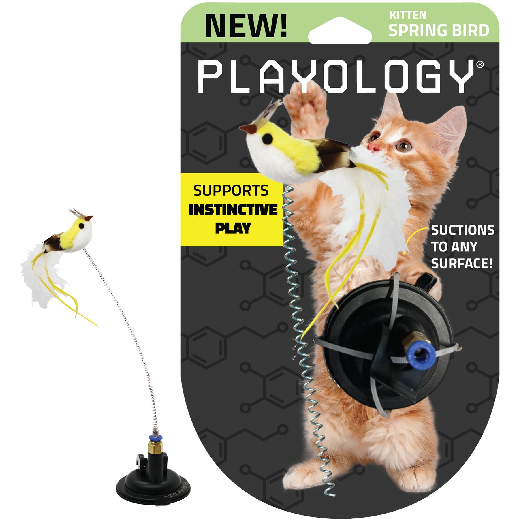 Playology Suction Cup Spring Bird Cat Toy