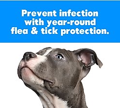 Fleabusters RX for Fleas Plus Shampoo, 8-oz bottle slide 2 of 2