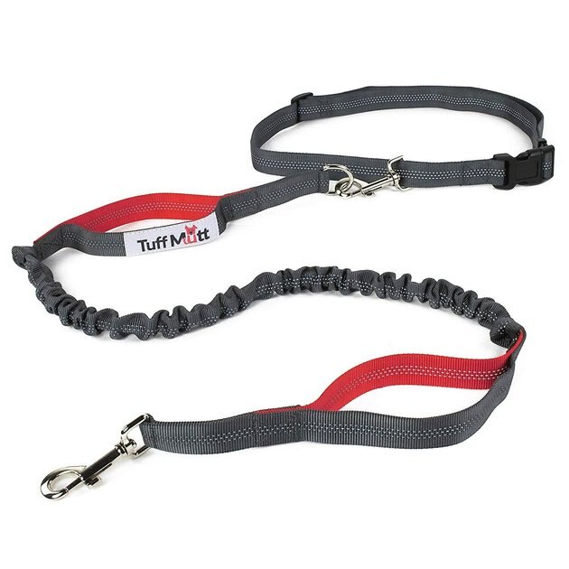 are bungee leashes suitable for german shepherd dog