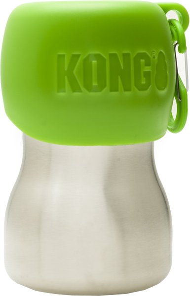 KONG H2O Stainless Steel Dog Water Bottle, Green, 9.5-oz slide 1 of 2