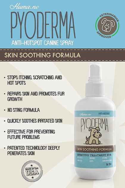 pyoderma in dogs natural treatment