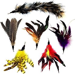 Pet Fit For Life 6 Piece Replacement Feather Pack for Wand Cat Toy slide 1 of 8