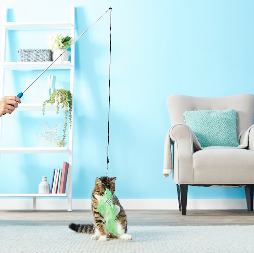 PET FIT FOR LIFE 2 Fish Feather Wand Cat Toy