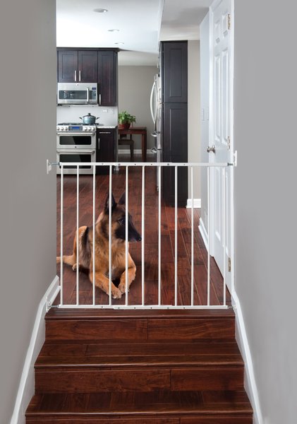 Command Pet Products Wall Mounted Pet Gate, White slide 1 of 6