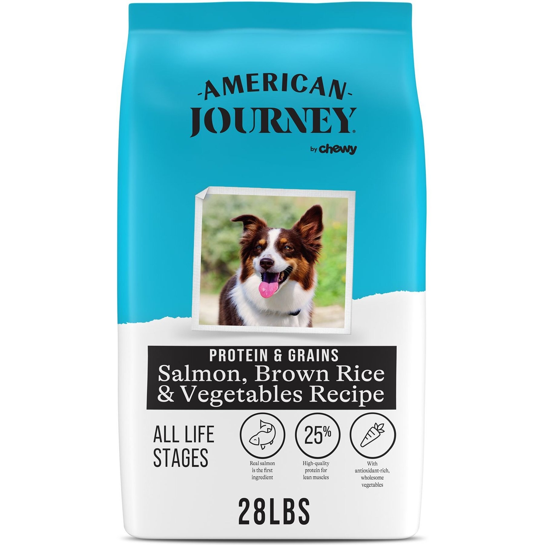 AMERICAN JOURNEY Protein Grains Formula Salmon Brown