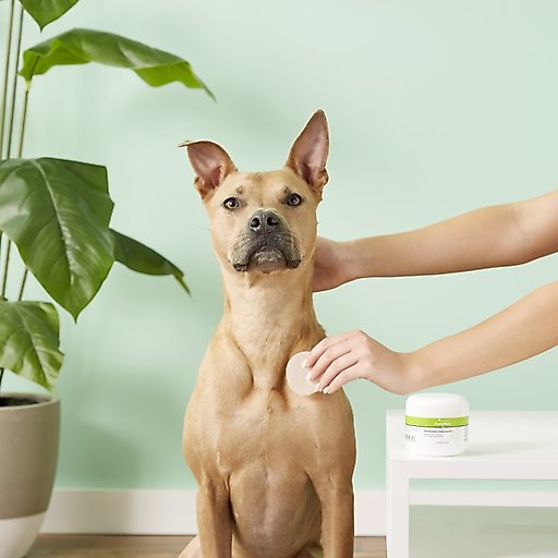 VetOne KetoHex Antiseptic Pet Wipes, 50 count
