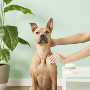 VetOne KetoHex Antiseptic Pet Wipes, 50 count