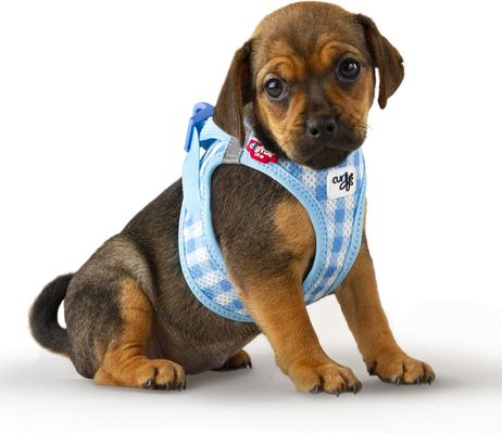 Show full view: Curli Clasp Vest Air-Mesh Reflective Dog Harness & Leash, Pink, XXX-Small: 10.5 to 11.8-in chest slide 3 of 11