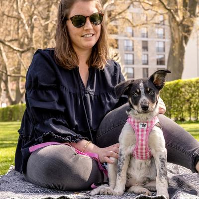 Show full view: Curli Clasp Vest Air-Mesh Reflective Dog Harness & Leash, Skyblue, X-Small: 13.3 to 15-in chest slide 9 of 11