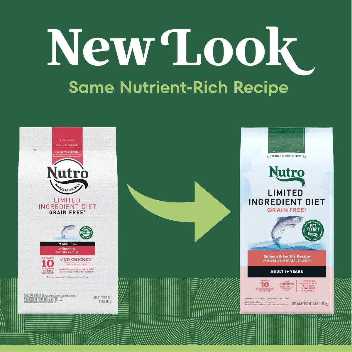 Nutro salmon 2024 dog food