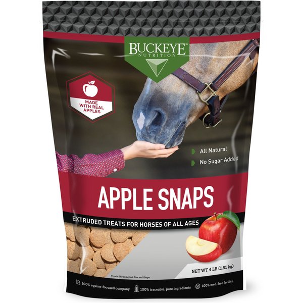 BUCKEYE NUTRITION AllNatural Apple Horse Treats, 4lb bag