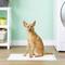 Show in main carousel: Richell Paw Trax Doggy Pads, 50 count slide 2 of 9