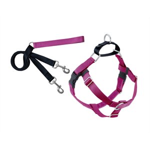 2 Hounds Design Freedom No Pull Nylon Dog Harness & Leash, Raspberry, Small: 18 to 24-in chest, 5/8-in wide