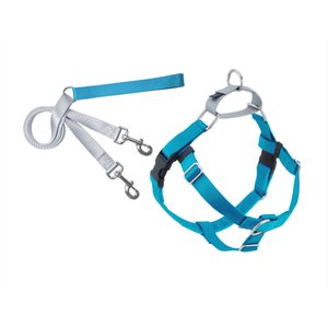 2 Hounds Design Freedom No Pull Nylon Dog Harness & Leash, Turquoise, Small: 18 to 24-in chest, 5/8-in wide