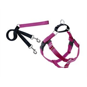 2 Hounds Design Freedom No Pull Nylon Dog Harness & Leash, Raspberry, Medium: 22 to 28-in chest, 1-in wide