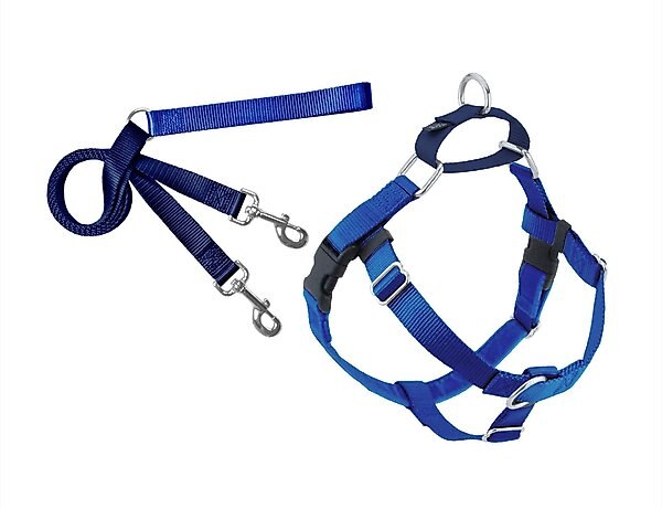 2 Hounds Design Freedom No Pull Nylon Dog Harness & Leash, Royal Blue, Large: 26 to 32-in chest, 1-in wide slide 1 of 5