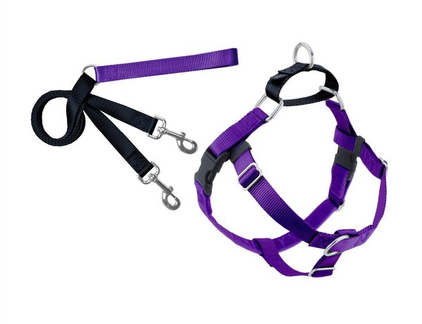 2 Hounds Design Freedom No Pull Nylon Dog Harness & Leash, Purple, Large: 28 to 32-in chest, 1-in wide slide 1 of 5