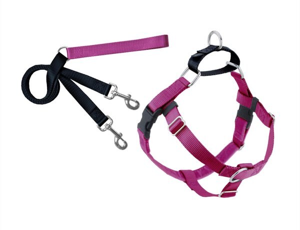 2 Hounds Design Freedom No Pull Nylon Dog Harness & Leash, Raspberry, Large: 26 to 32-in chest, 1-in wide slide 1 of 5