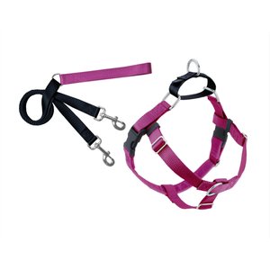 2 Hounds Design Freedom No Pull Nylon Dog Harness & Leash, Raspberry, Large: 26 to 32-in chest, 1-in wide