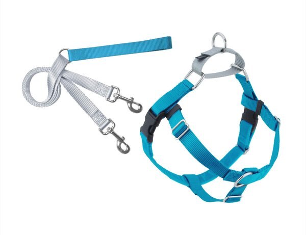 2 Hounds Design Freedom No Pull Nylon Dog Harness & Leash, Turquoise, X-Large: 32 to 36-in chest, 1-in wide slide 1 of 5