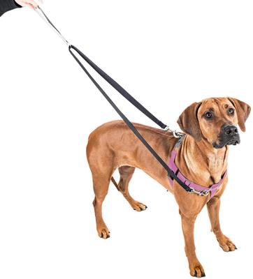 Show full view: 2 Hounds Design Freedom No Pull Nylon Dog Harness & Leash, Rose Pink, XX-Large: 34 to 44-in chest, 1-in wide slide 2 of 6
