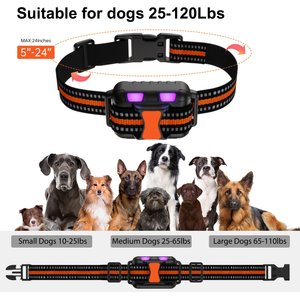 Petdiary 2600-ft Waterproof Remote Shock eCollar Dog Training Collar, Medium, Black