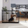 Frisco Heavy Duty Fold & Carry Single Door Collapsible Wire Dog Crate, Med/L: 36-in L x 25-in W 26-in H