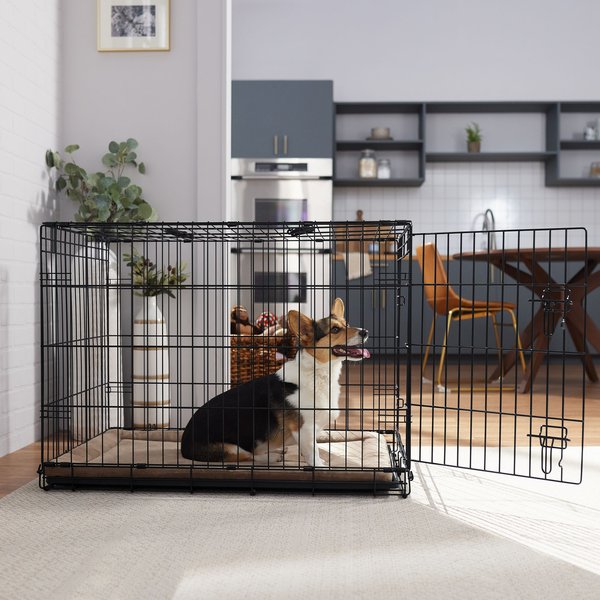 FRISCO Fold & Carry Single Door Collapsible Wire Dog Crate & Mat Kit ...