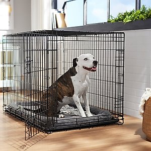 How To Choose The Perfect Dog Crate Bechewy Buying Guide