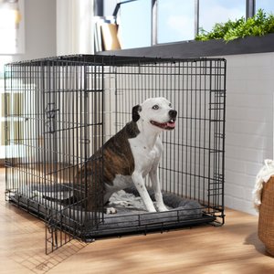 Frisco Heavy Duty Fold & Carry Single Door Collapsible Wire Dog Crate, L: 42-in L x 28-in W 30-in H