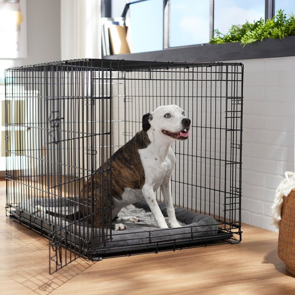 FRISCO Heavy Duty Fold & Carry Single Door Collapsible Wire Dog Crate