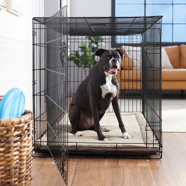 Frisco Heavy Duty Fold & Carry Single Door Collapsible Wire Dog Crate, XL: 48-in L x 30-in W 32-in H slide 1 of 8