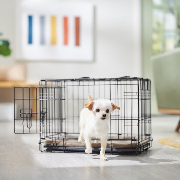 Frisco Heavy Duty Fold Carry Double Door Collapsible Wire Dog Crate