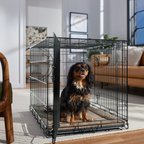 Frisco Heavy Duty Fold & Carry Double Door Collapsible Wire Dog Crate, Med/L: 36-in L x 25-in W 26-in H