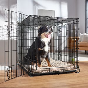 Frisco Heavy Duty Fold & Carry Double Door Collapsible Wire Dog Crate, L: 42-in L x 29-in W x 30-in H